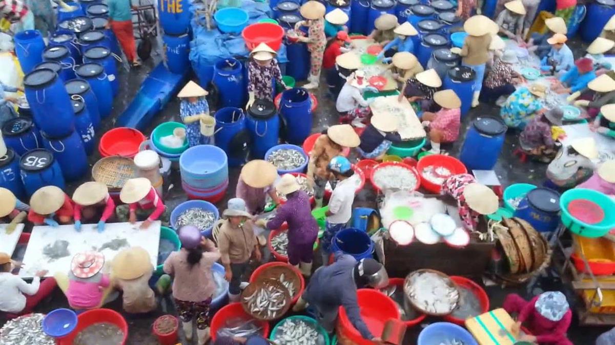 Vựa hải sản Tươi Sống Ở Nha Trang